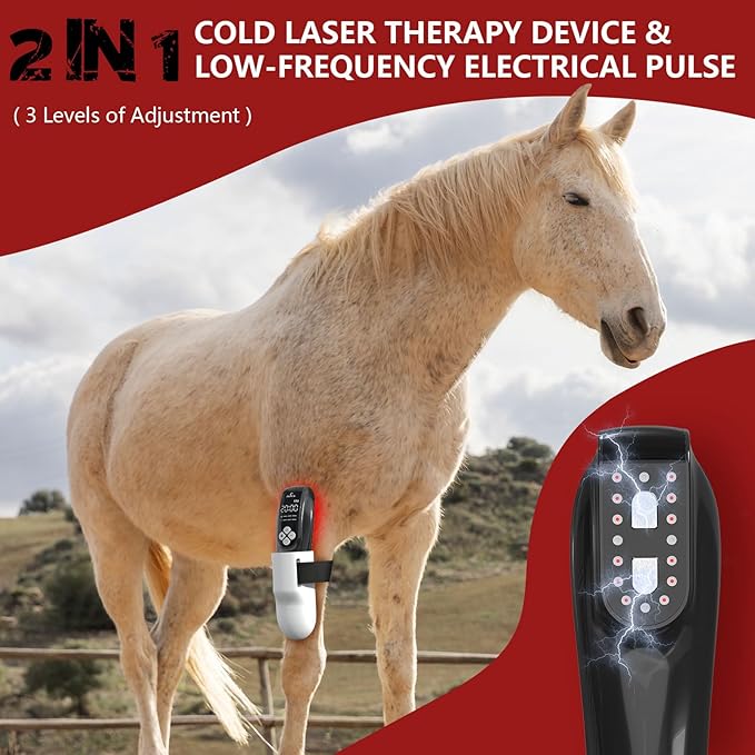 Cold Laser Therapy Device for Horse, Portable Red Light Therapy with 4pcs 808nm and 12pcs 650nm, Near Infrared Laser for Arthritis Pain Relief- Electrical Stimulation for Tendon, and Ligament Recover