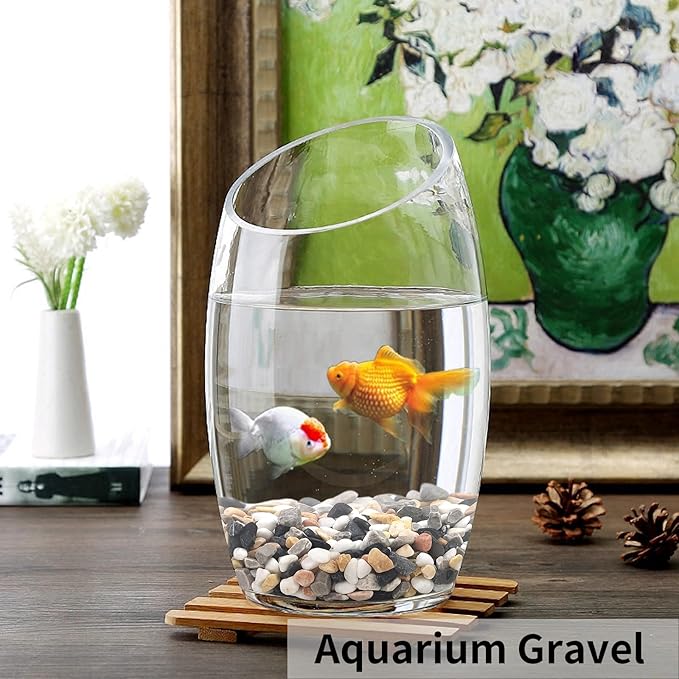 5 lbs Succulent and Cactus Pebbles for Indoor Plants, 3/8 Inch Pea Gravel Decorative River Rocks for Plants, Vases, Terrarium, Aquarium, Potted Top Dressing and Outdoor Landscaping Stones