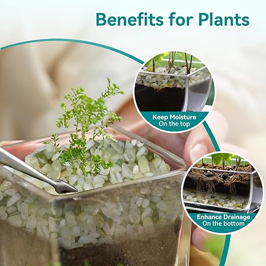 2.5 lbs Jade Pebbles for Indoor Plants, 1/5 Inch Succulent and Cactus Pebbles, Decorative Gravel for Vases, Bamboo,Terrarium, Crafts, Cactus