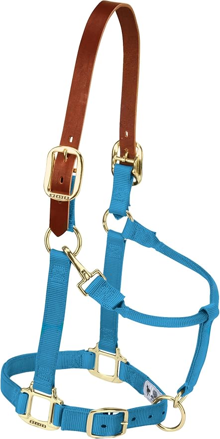 Weaver Equine Breakaway Horse Halter, Supple Leather Crown, Adjustable Chin & Throat Snap Halters for Horses, Equine Tack