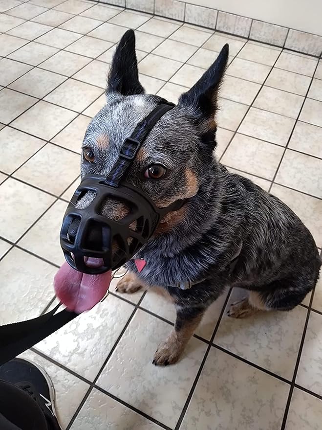 Mayerzon Dog Muzzle, Breathable Basket Muzzles for Small, Medium, Large and X-Large Aggressive Dogs Beagle German Shepherd Doberman, Cage Mouth Guard Stop Biting Chewing for Grooming Training