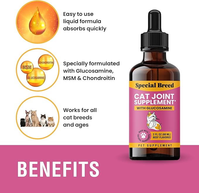 Special Breed Cat Joint Supplement, Liquid Glucosamine with Chondroitin for Cats, Feline Hip and Joint Pain Relief, 2 oz