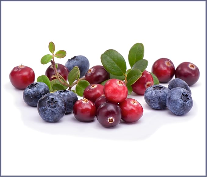 Bench & Field Holistic Natural Chicken Liver & Triple Berry Dog Treats | Crunchy Bone-Shaped Bites | Antioxidant Blend, 10-Ounce Bottle