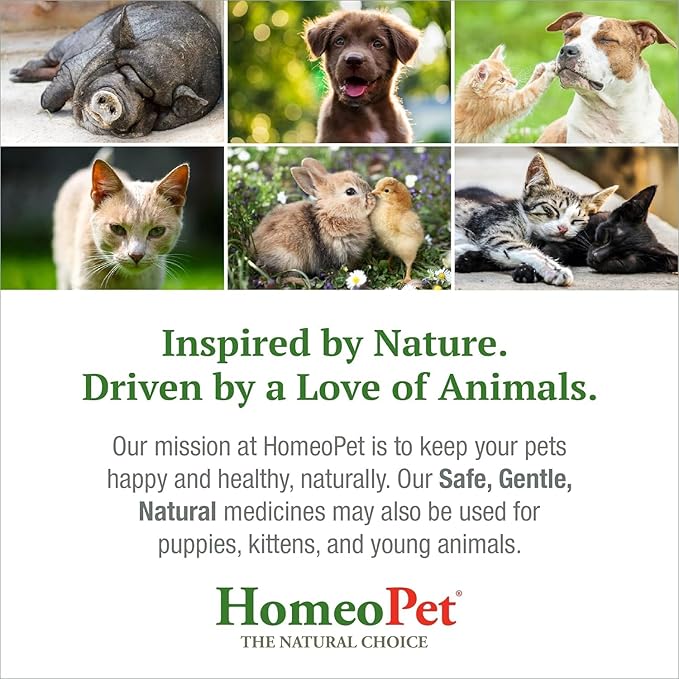 HomeoPet Feline UTI Plus, Safe and Natural Urinary Tract Medicine for Cats, Feline Urinary Tract Support, 15 Milliliters - Pack of 2