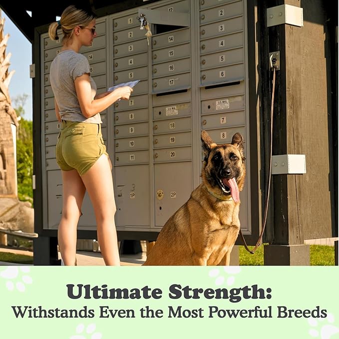 Canine Hitch- Secure Dog Leash Parking Mounted Indoor – Outdoor Wall Hook - Tie Out Stainless Steel Practical Lead Management for Home & Business, Ultimate Strength 2 Pack