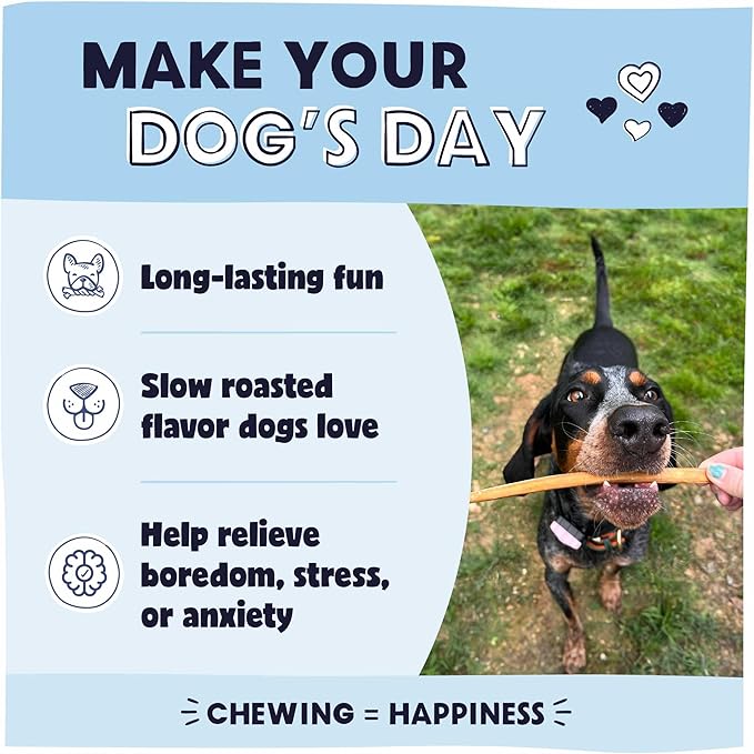 Pawstruck All-Natural 9" Bully Sticks for Dogs - Long Lasting, Rawhide-Free, Low Odor & Grain-Free Dental Chew Treat - Healthy Single Ingredient, 100% Real Beef - 1 lb Bag