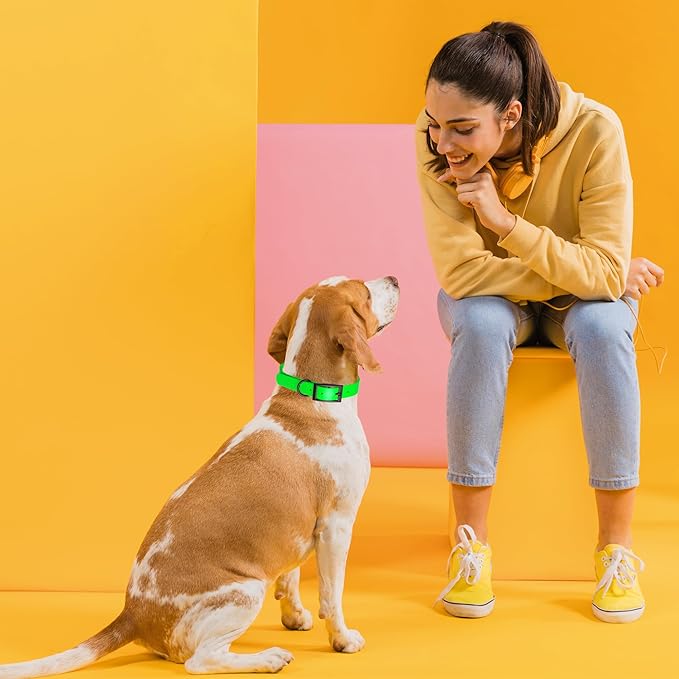 Dogline Biothane Waterproof Dog Collar Strong Coated Nylon Webbing with Black Hardware Odor- Proof for Easy Care Easy to Clean High Performance Fits Small Medium or Large Dogs, Tropical Green