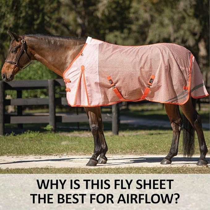 Schneiders Ripstop Nylon Mesh II Horse Fly Sheets | Optimal Airflow & UV Protection