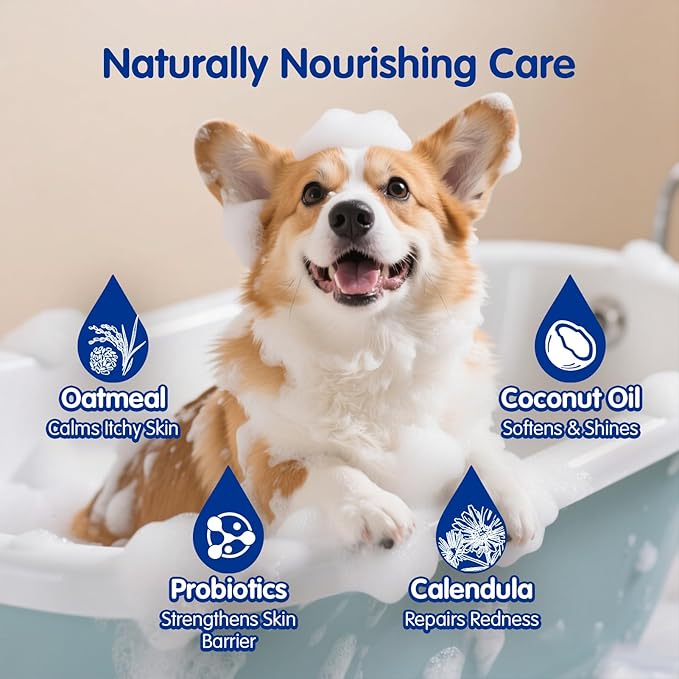 Unipaws Probiotics Dog Shampoo & Conditioner Set for Short-Haired Coats – Itch Relief, Deodorizing & Anti-Shedding for Skin Comfort & Balance with Calendula – EWG Green, Made in Korea, 2×16.9 Fl Oz