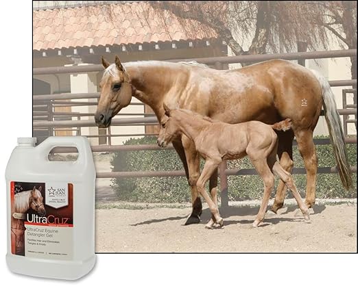 UltraCruz® Equine Detangler Gel, 1 Gallon