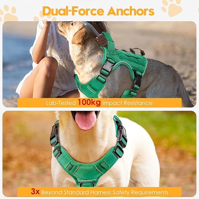 Heavy-Duty Tactical Dog Harness for Large Dogs, No Pull Adjustable Reflective Pet Vest with Molle System, K9 Military-Grade Control for Service Training, Outdoor & 10+ Breeds, Turquoise, Small