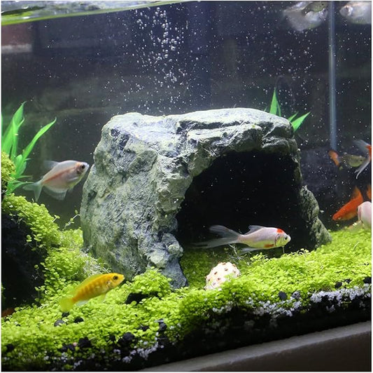 Reptile Rock Hide Cave - World 9.99 Mall Reptile Rock Hide Habitat Decoration|Natural,Non-Toxic, Made of Resin | Hideout for Small Lizards, Turtles, Reptiles, Amphibians,Fish