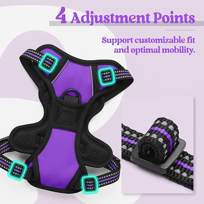 rabbitgoo Dog Harness No Pull with 2 Leash Clips, Adjustable Soft Padded, Reflective Oxford No Choke Pet Vest with Easy Control Handle for Puppy, Purple,XS