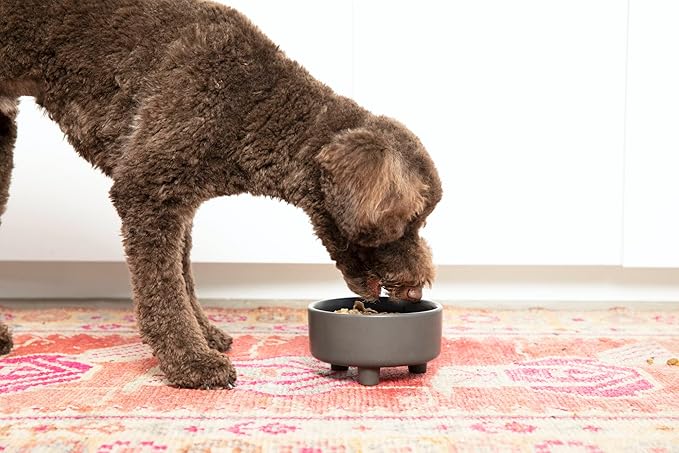 Waggo Uplift Ceramic Dog Bowl for Small Medium and Large Breeds - Heavyweight and Durable Pet Food and Water Dish Crock, Dishwasher Safe, Modern, Elevated Feeder (Black, Medium)