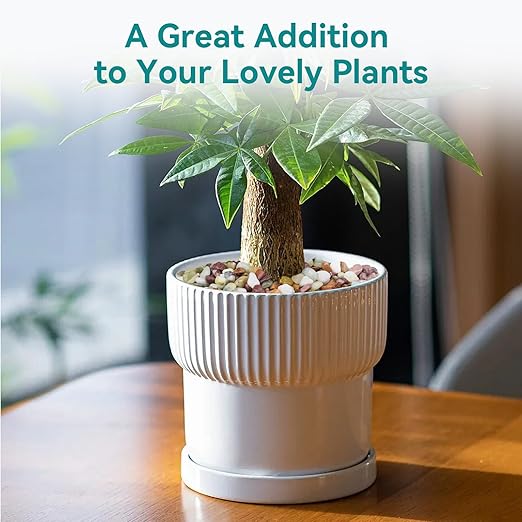 5lbs Pebbles for Indoor Plants, 3/8 Inch Small Rocks for Potted Plants, Succulents, Vase Fillers, Cactus Planters, Bird Bath, Fountain, Outdoor Garden Landscaping