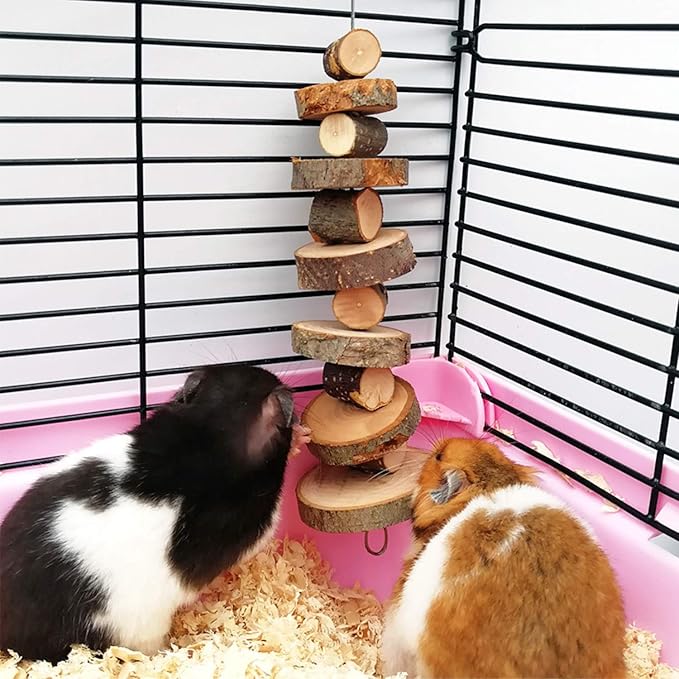 Natural Organic Apple Wood Chew Toys, 2 Pack Small Animal Snacks Toys Suitable for Bunny, Chinchilla, Guinea Pigs, Hamsters Teeth Grinding