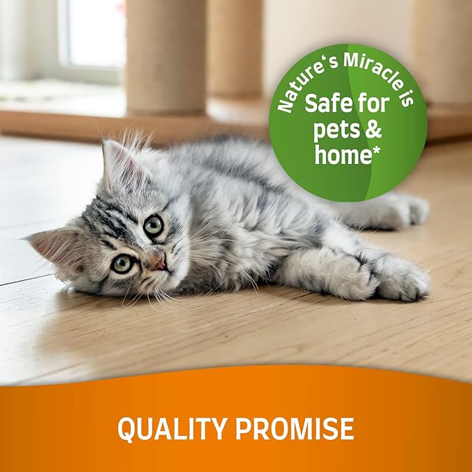 Nature's Miracle Set-In Stain Destroyer For Cat Messes, 24 Ounces, Oxy Formula With Orange Scent (Pack of 2)