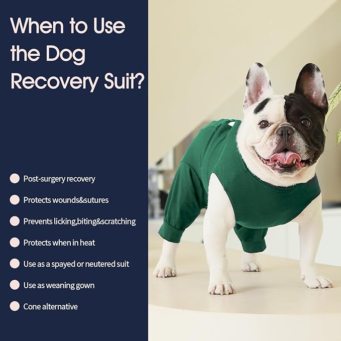 IECOii Dog Onesie for Surgery,Dog Surgery Suit Female Spay Recovery Suit for Medium Size Dog,Dog Recovery Suit Male Pet Abdominal Anti Licking Shirt,Dog Bodysuit Alternative to Cone E-Collar,M-Green