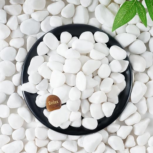 SIDONG 10 LB White River Rocks, 0.4-1.2 Inches Matte Pebbles for Indoor Plants, Aquarium Rocks Used in Fish Tank, Decorative Stones for Plants, Vases, Home Décor, Crafting, Garden Landscaping