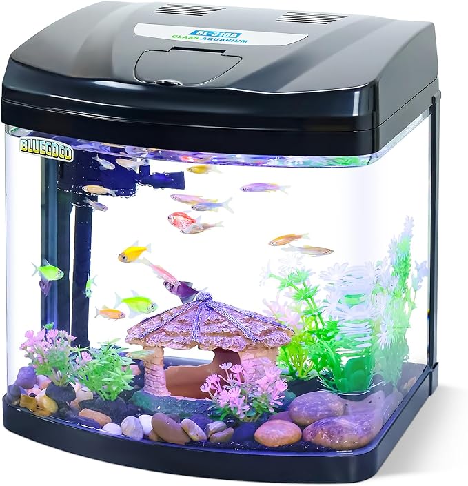 4 Gallon Glass Aquarium Starter Kit with Flip-Top Feeding Port for Betta Fish: Crystal Clear 360° Viewing, Eco-Cycle Filtration, Air Pump, and LED Lighting