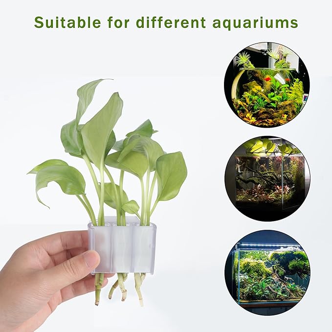 3 Holes Upgraded Aquatic Plant Cup Aquarium Plant Holder for Tank,Hanging Aquarium Plant Holder,Aquarium Aquatic Plant Cultivation,Aquarium Plant Decoration. (White 2PCS)