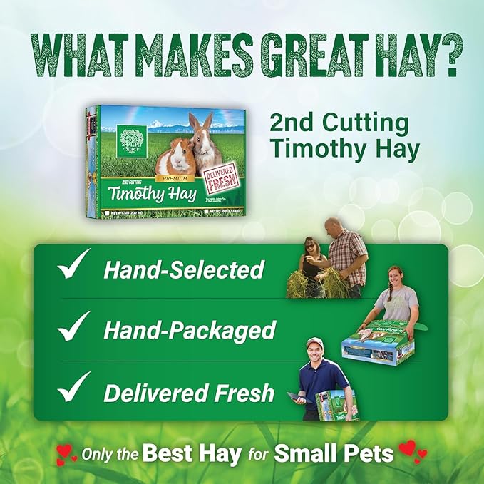 Small Pet Select 2nd Cutting Perfect Blend Timothy Hay Pet Food for Rabbits, Guinea Pigs, Chinchillas and Other Small Animals, Premium Natural Hay Grown in The US, 10 LB