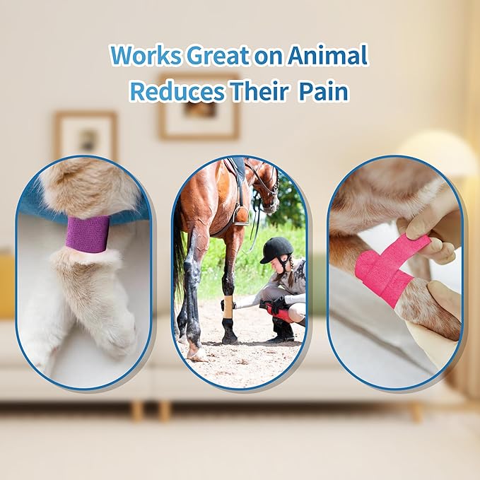 PHYTOP Adhesive Bandage Wrap 12 Pack Vet Wrap 4 inches x 5 Yards, Self Adhesive Cohesive Bandage Tape for Wrist & Ankle Protection (Blue)