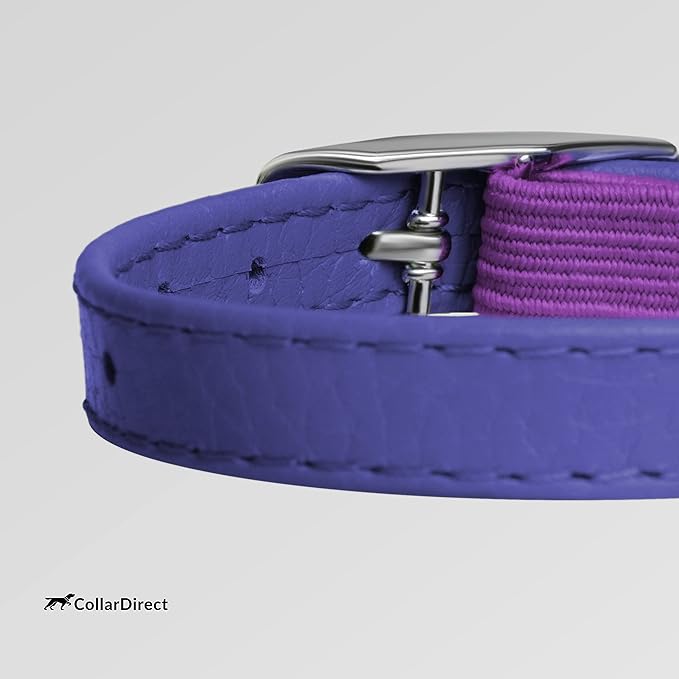 CollarDirect Leather Cat Collar, Kitten Collar with Removable Bell Black Blue Red Orange Lime Green (6-7 Inch, Purple)