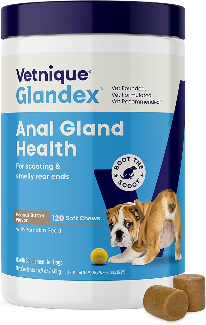 Vetnique Glandex Anal Gland Soft Chew Treats with Pumpkin for Dogs Digestive Enzymes, Probiotics Fiber Supplement for Dogs Boot The Scoot (Peanut Butter Chews, 120 Count)