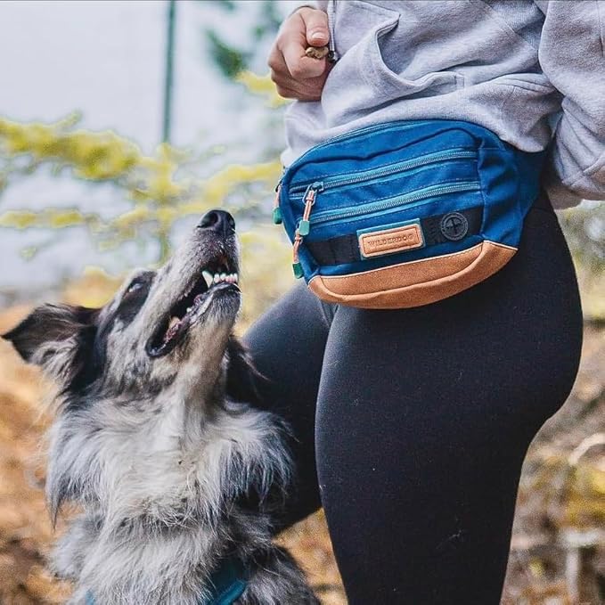 Wilderdog Utility Fanny Pack stores Treats, Balls, Keys in 3 Pockets with adjustable strap and Poop Bag dispenser (Pacific Blue)