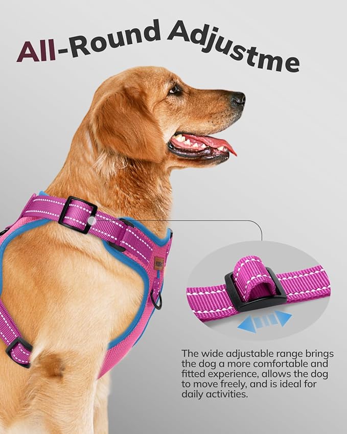 MIDOG No-Pull Dog Harness | Adjustable & Reflective Pet Harness Leash Set for Small Medium Large Dogs Walking, Training| No Choke, Front Clip, Soft Padded Vest with Easy Control Handle - Pink, M