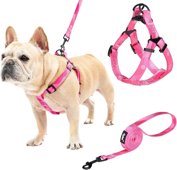 PUPTECK No Pull Dog Harness Soft Adjustable Basic Nylon Step in Puppy Vest Outdoor Walking with Leash Medium