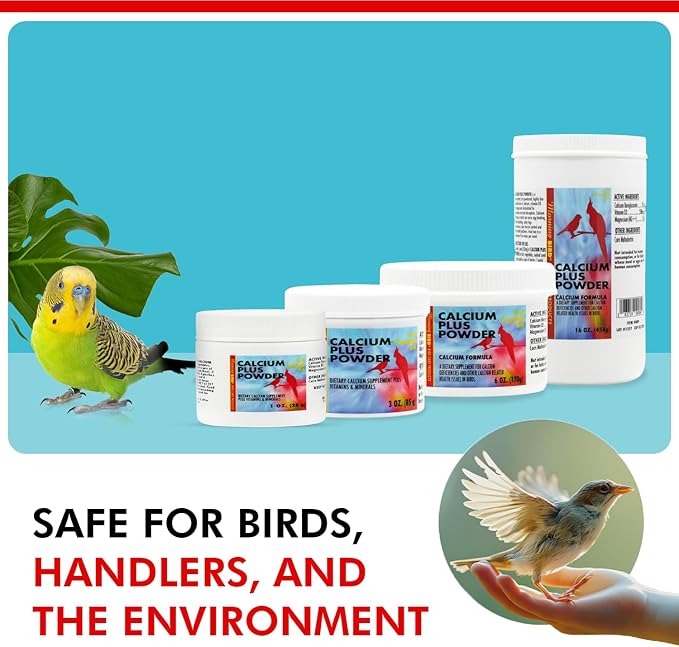 Morning Bird Calcium Plus Powder for Birds 6 oz – Calcium Carbonate Powder with Magnesium Glycinate & Vitamin D – Bone Strength & Immune Support Supplement – Calcium Formula for All Bird Sizes
