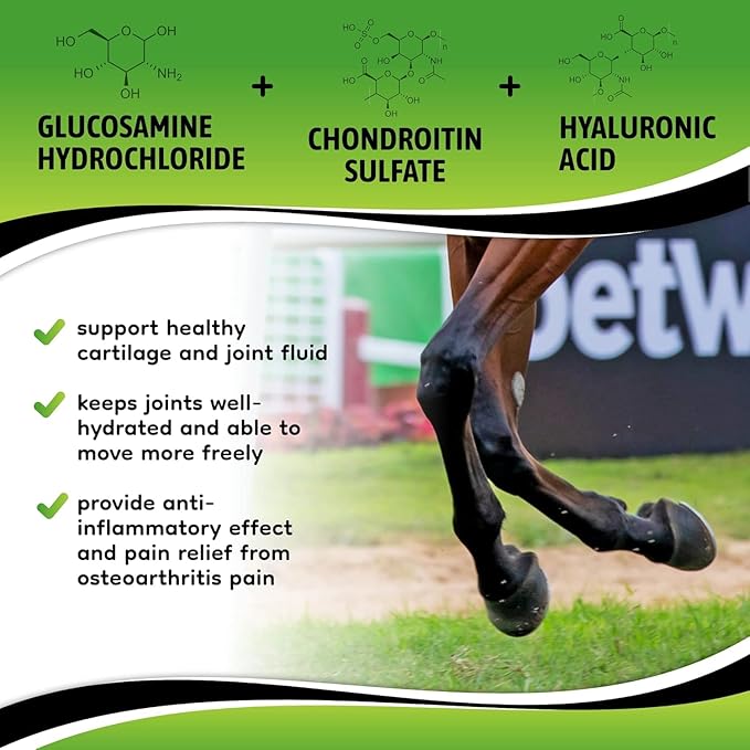 SynoStride All Natural, All-in-one, Joint and Hoof Health Supplement for Horses, Powder with Glucosamine, Chondroitin, Hyaluronic Acid, Biotin, Methionine, Trace Minerals (1080 Grams) x2