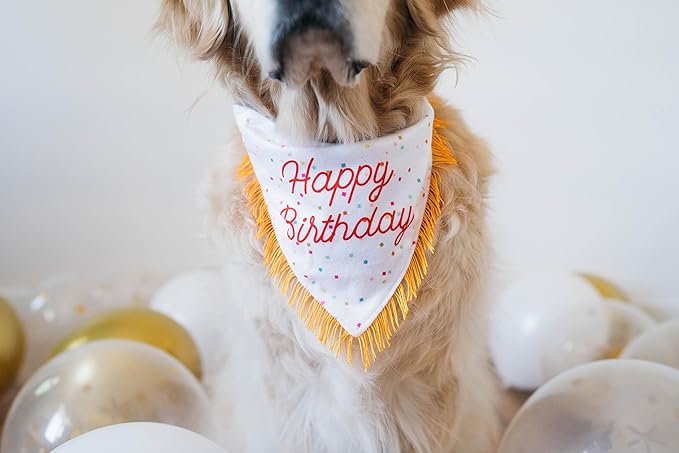 ZippyPaws Dog Birthday Gift Bandana & Bone - Cute Accessories for Girl & Boy Dogs, Holiday Set, Fits Small, Medium, & Large Dogs, Stuffed Plush Toy, Machine Washable Handkerchief - One Size Fits Most