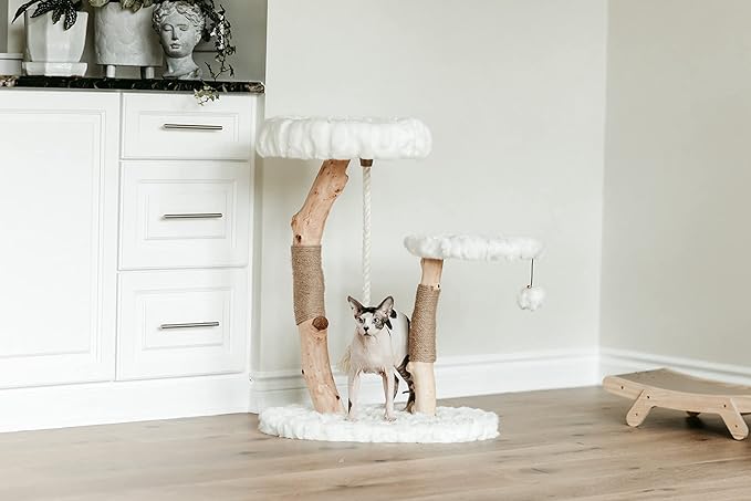 Mau Lifestyle Luxury Cat Tree: Modern Cat Condo & Luxury Wood Cat Tower; Natural Branch Scratching Tree & Cat Condo; Cat Gifts by Mau
