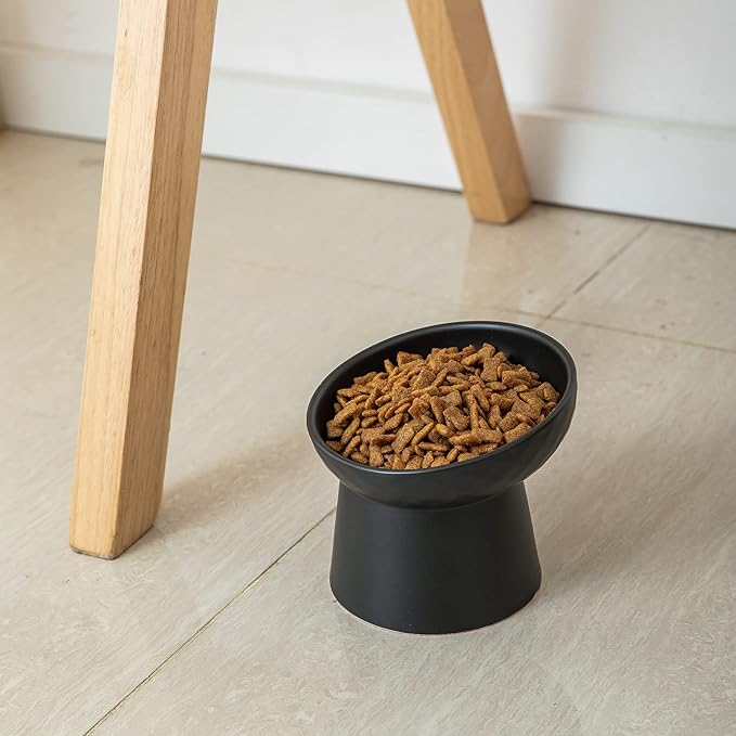 Ceramic Raised Cat Bowls, Elevated Tilted Cat Food and Water Bowls Set, Porcelain Stress Free Pet Feeder Dish for Cats and Small Dogs, Dishwasher and Microwave Safe, Set of 2(Black)