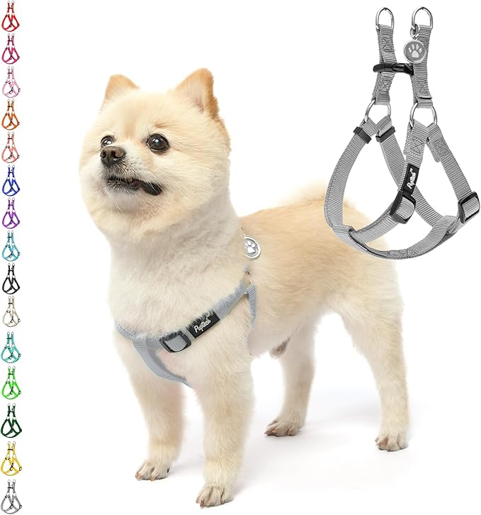 PUPTECK No Pull Dog Harness Soft Adjustable Basic Nylon Step in Puppy Vest Outdoor Walking with ID Tag, Grey, S