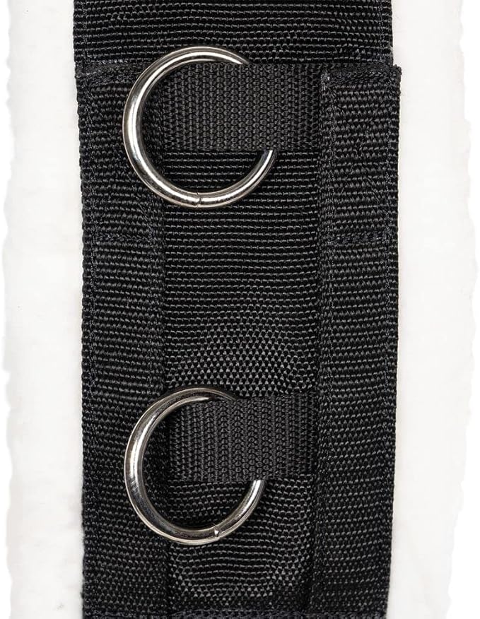 Dura-Tech Fleece Lined Training Surcingle for Horses | Essential for Lunging Work | Comfortable Fleece Lining | Durable Poly Material | Versatile D-Ring Placement | Suitable for All Training Levels