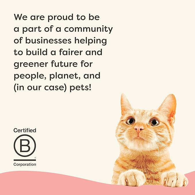 Applaws Vitality Wet Cat Food in Broth, Natural Canned Cat Food, Wet Food for Cats with Added Vitamins and Minerals, Grain and Carrageenan Free, Tuna Fillet & Salmon in Broth (24 Count, 5.5oz Cans)