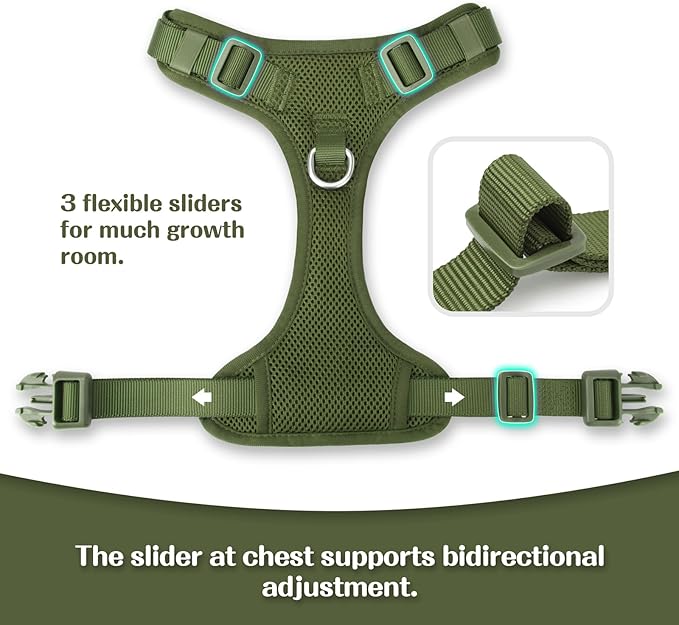 No Pull Dog Harness for Small Medium Large Dogs - Adjustable Two-Layer Mesh Dog Vest with Dual Clip, Escape Proof, Quick Release, Lightweight Breathable Mesh for Walking Hiking (Misty Green,L)