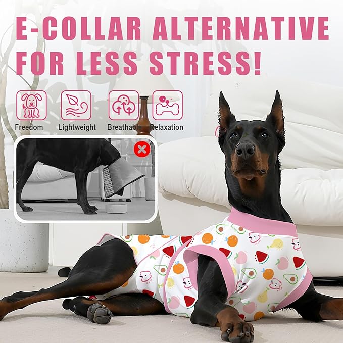 Recovery Suit for Dogs After Surgery, Professional Dog Surgical Suit for Female Spay, Male Neuter, E-Collar & Cone Alternative Dog Onesie for Abdominal Wounds Skin Disease, Fruit, L