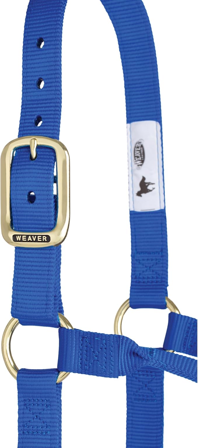 Weaver Equine Nylon Horse Halter, Triple-Ply Cheek Design, Original Non Adjustable Halters for Horses, Equine Tack,Average Size, Black