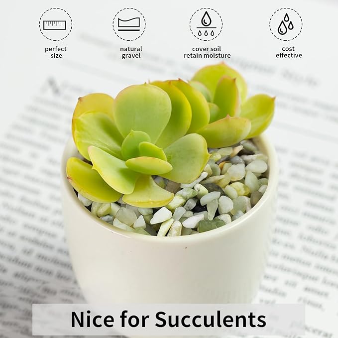 2 lbs Jade Rocks for Plants Indoor, 3/8 inch Small Pebbles for Indoor Plants, Decorative Rocks for Succulents Cactus Bamboo Vases Landscaping Drainage and Outdoor Garden Rocks