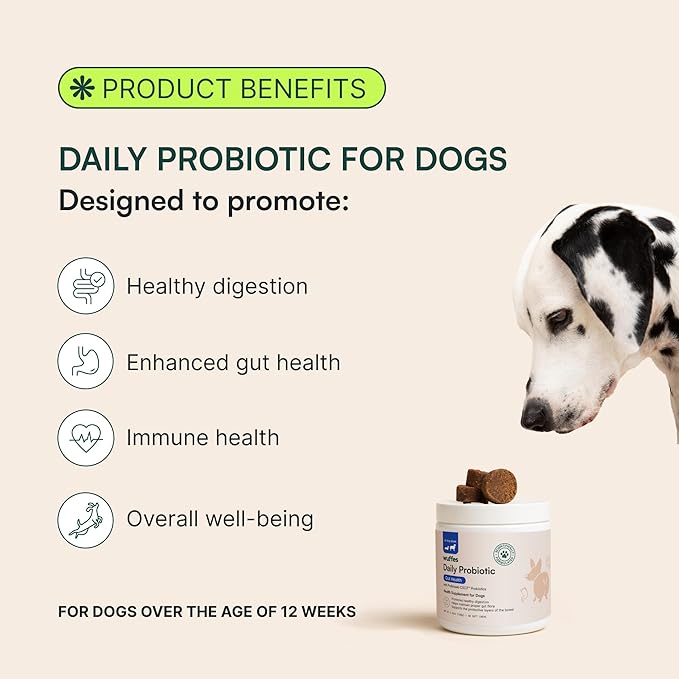 Wuffes Daily Probiotic for Dogs - Supports Digestive Health, Gut Balance, and Immune System - with Prebiotics, Marshmallow Root, and Pumpkin Powder - 60 Soft Chews