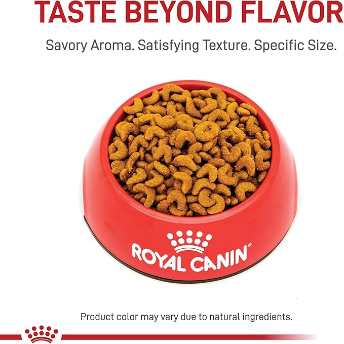 Royal Canin American Shorthair Breed Adult Dry Cat Food, 5.5 lb.