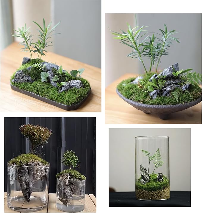 Unocho Aquarium Rocks Natural Seiryu Rock 20LB aquascape Stone for Fish Tank Aquariums Landscaping Model Tank Decoration Aquarium Miniature and Fairy Garden- 3 to 10 inches