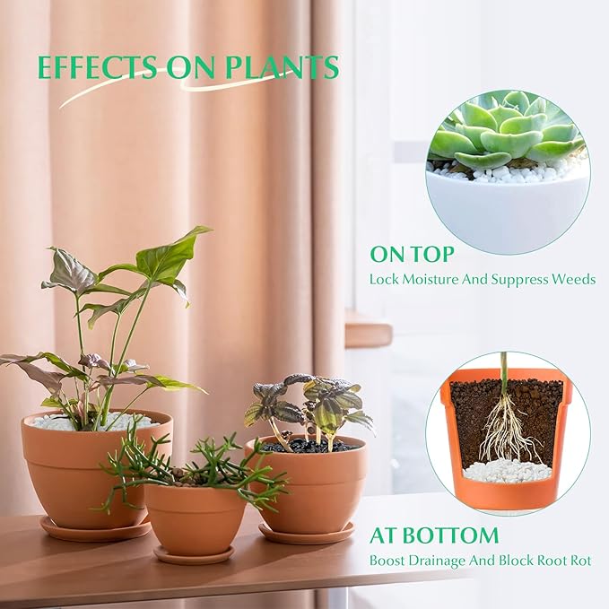 Mr. Fireglass 5 lbs White Pebbles,1/5" Natural Decorative River Rocks Aquarium Gravel for Indoor Plants, Vases, Succulents and Outdoor Garden Landscaping