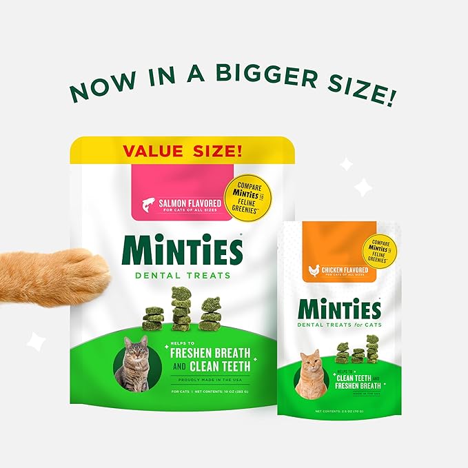 Minties Dental Treats for Cats, Salmon Flavored Treats for Cats, Freshens Breath and Controls Tartar, 10oz