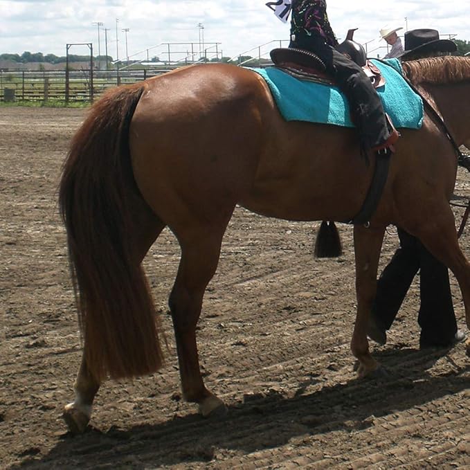 Horse Tail Extensions with Braided Horsehair Loop, Blunt Cut Bottom, 34-36 inches Long and 1 lb Weight (Med Sorrel)